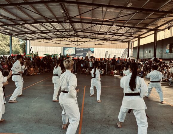 Quartierfest Tribschen 2025