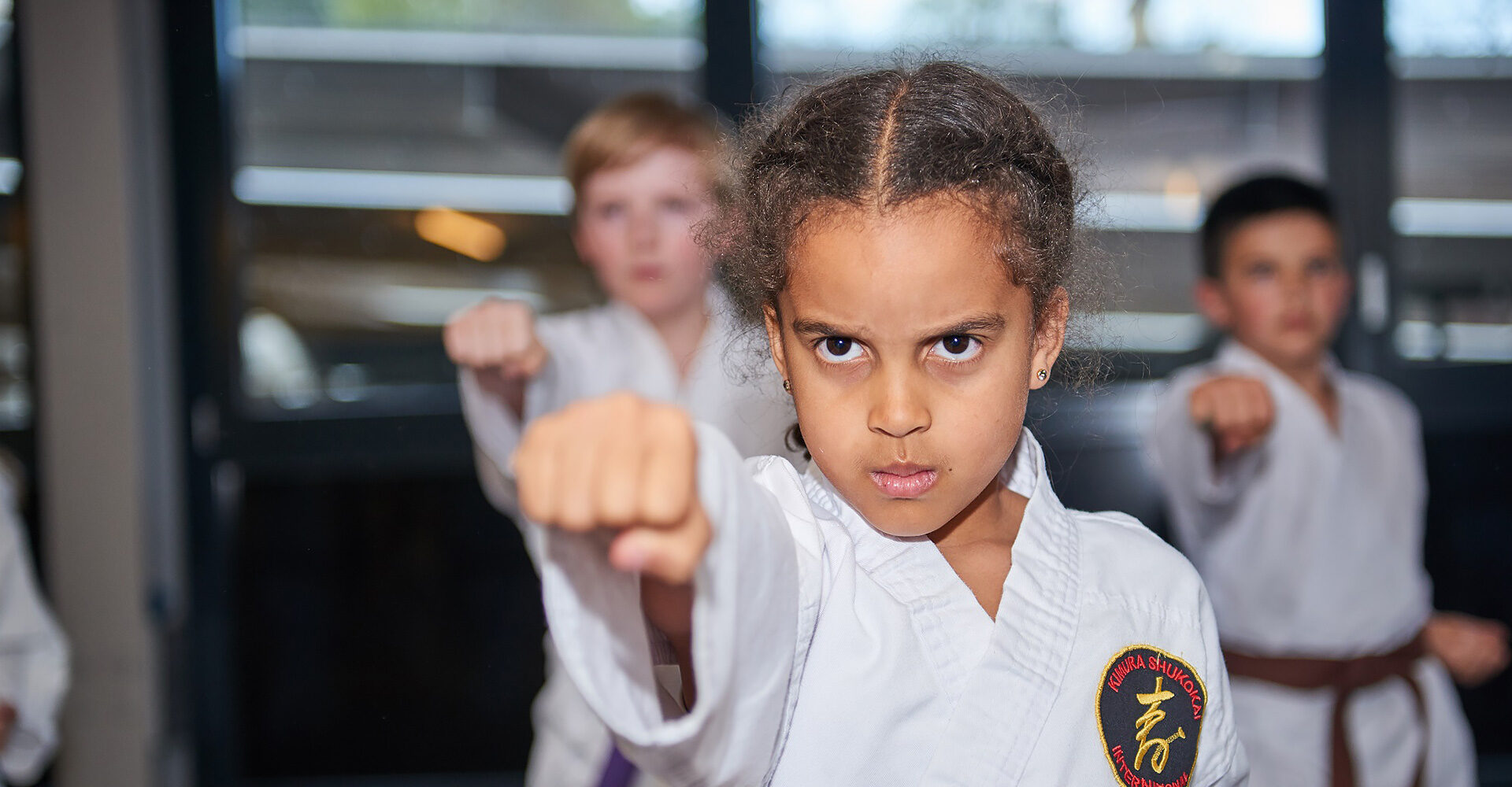 Karateschule Kimura Shukokai Luzern #3